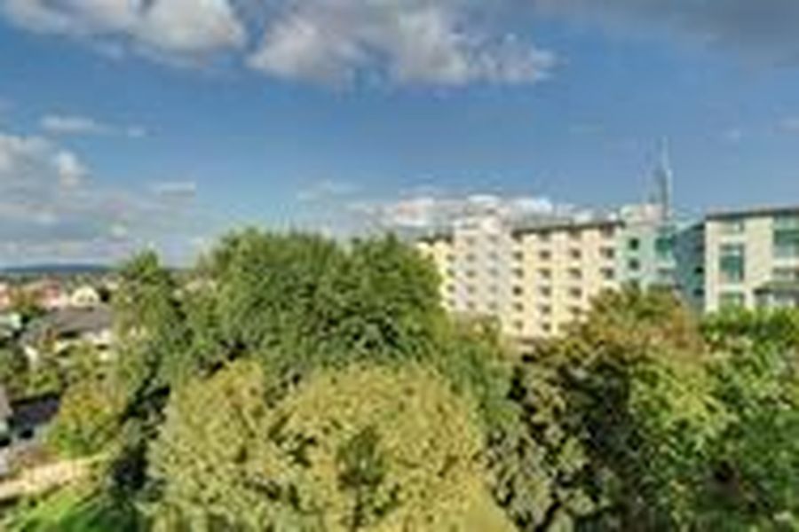 foto-2