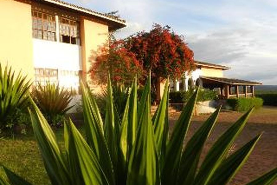 foto-1