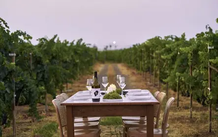 Cata de vinos Karpima en Kos