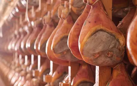 Experiência na fábrica de presunto de Parma