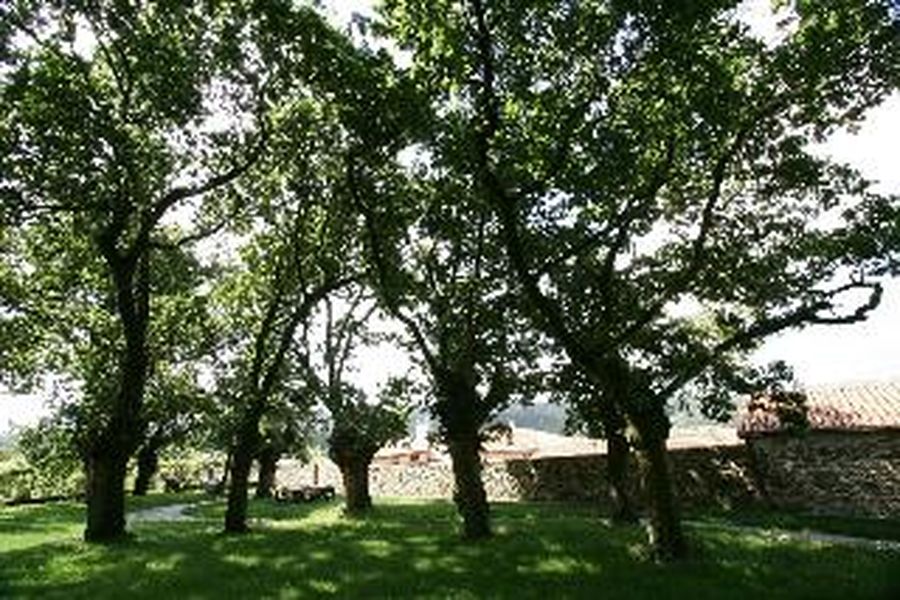 foto-1
