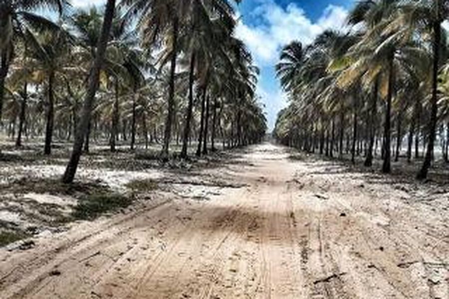 photo-1