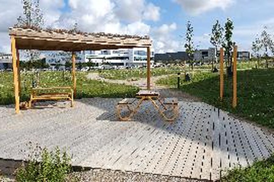 photo-1