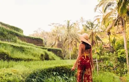 Ubud: visita guiada privada + transporte