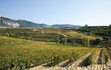 Visita à vinícola em La Rioja saindo de Pamplona com degustação e almoço