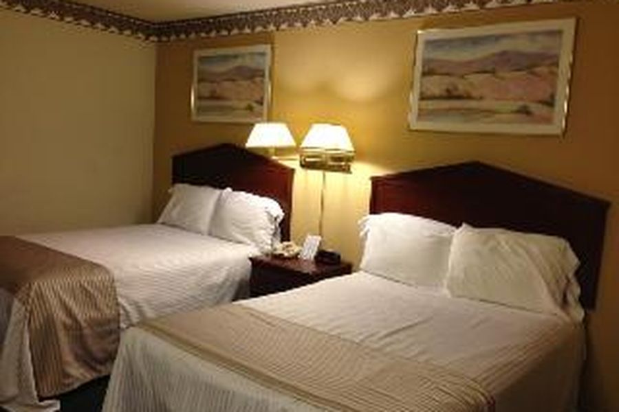 photo-1