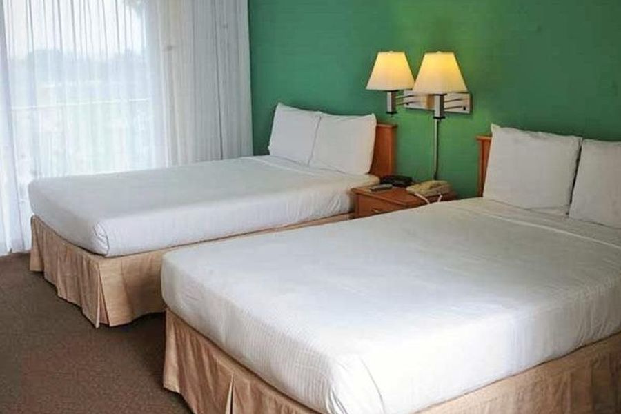 photo-1