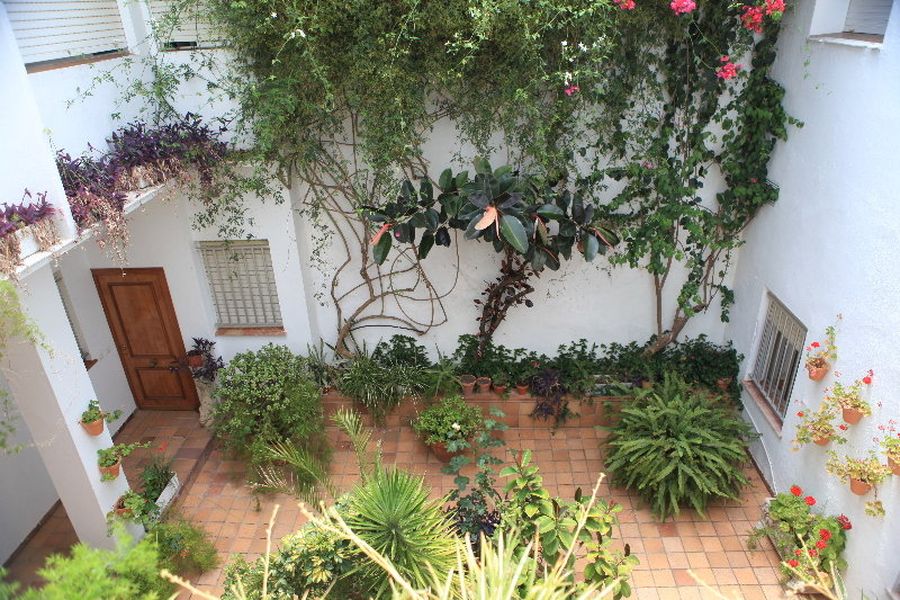 foto-1