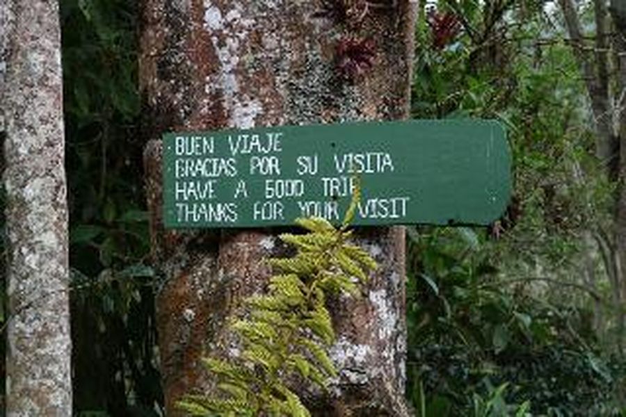 foto-3