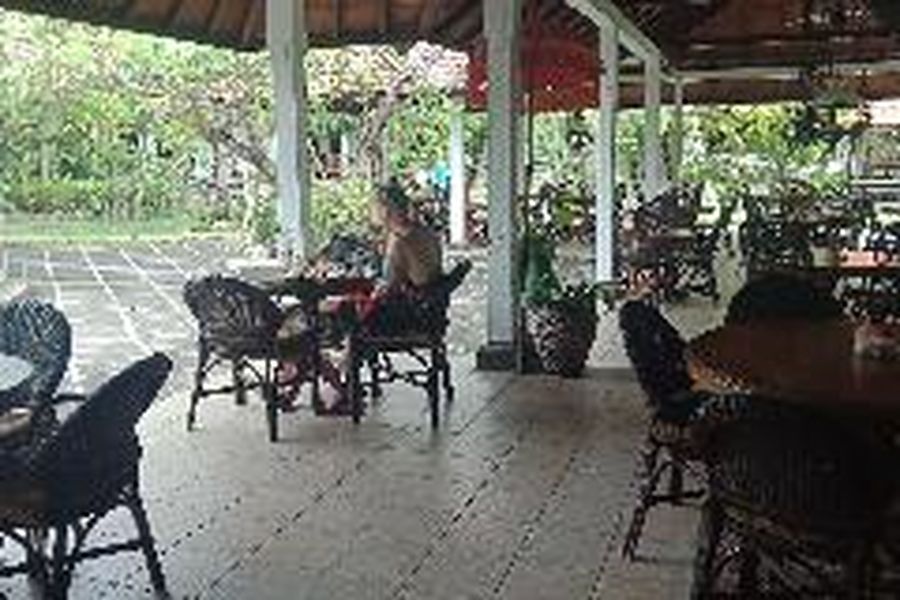 photo-1