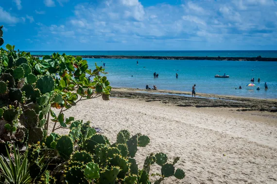 Praia do Francês, AL