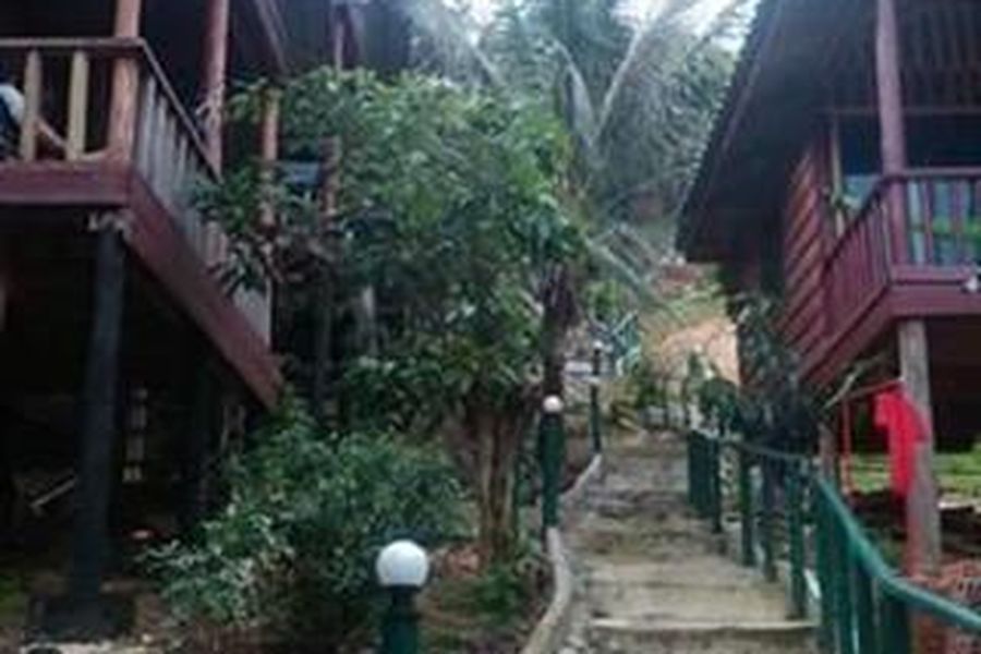foto-1