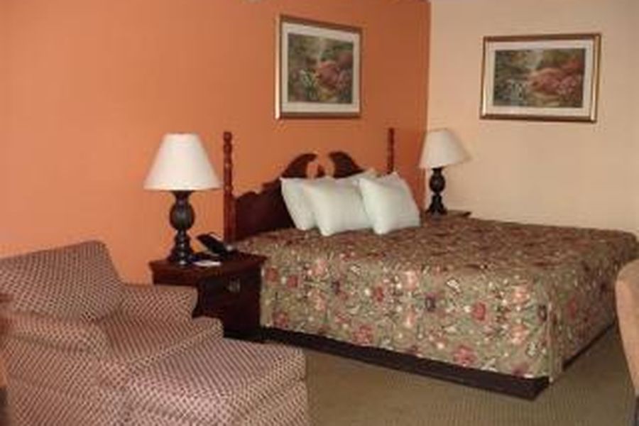 photo-3