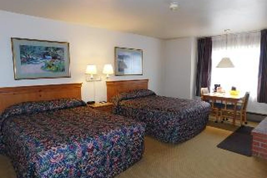 photo-3