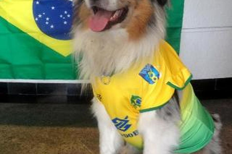 foto-2