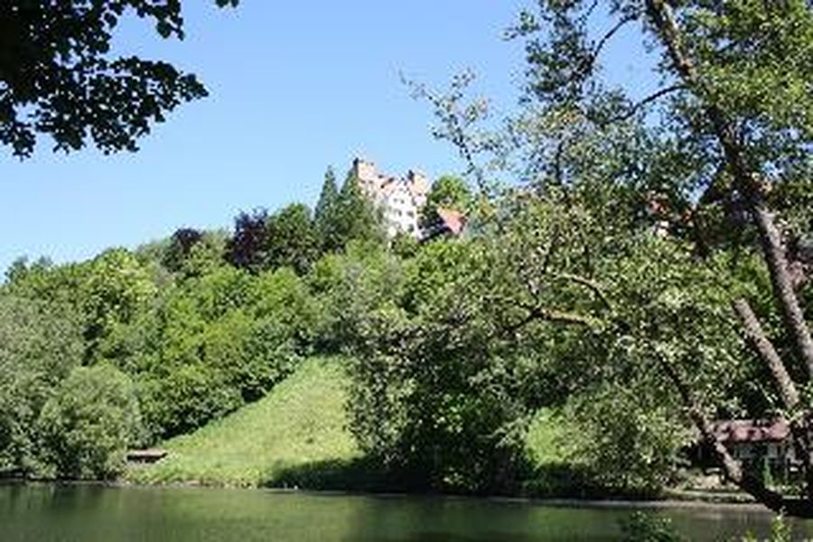 photo-3
