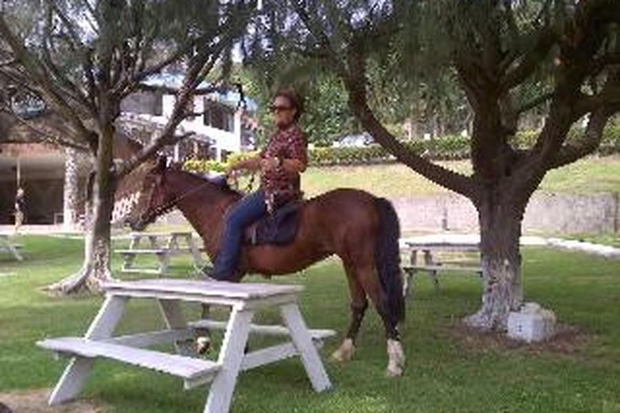 photo-2