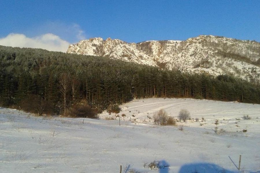 foto-0