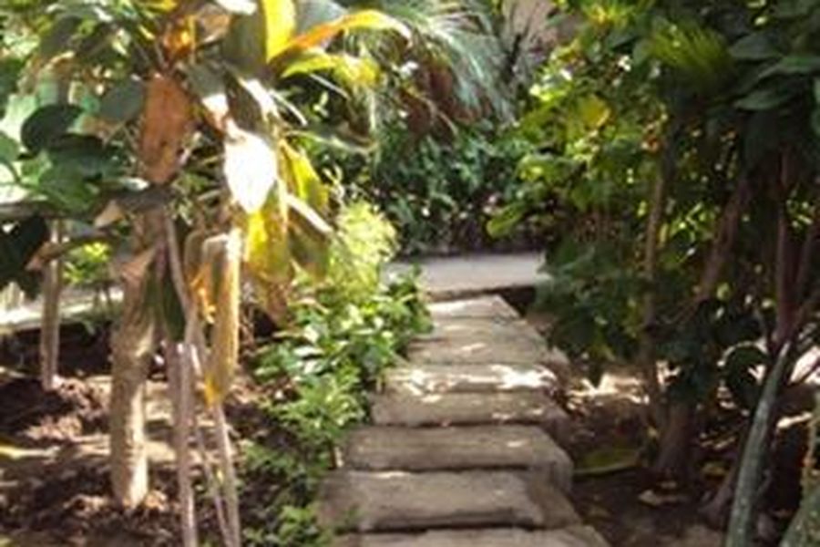 photo-1