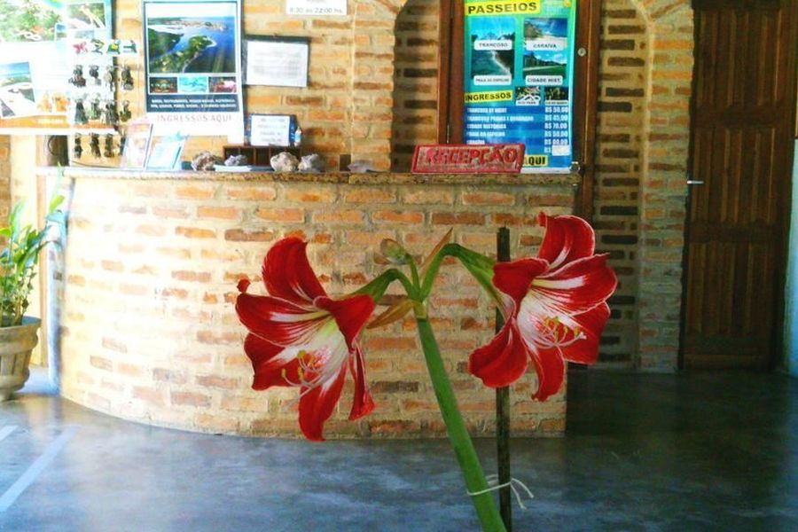 photo-3