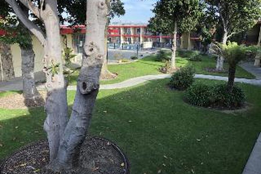 foto-1