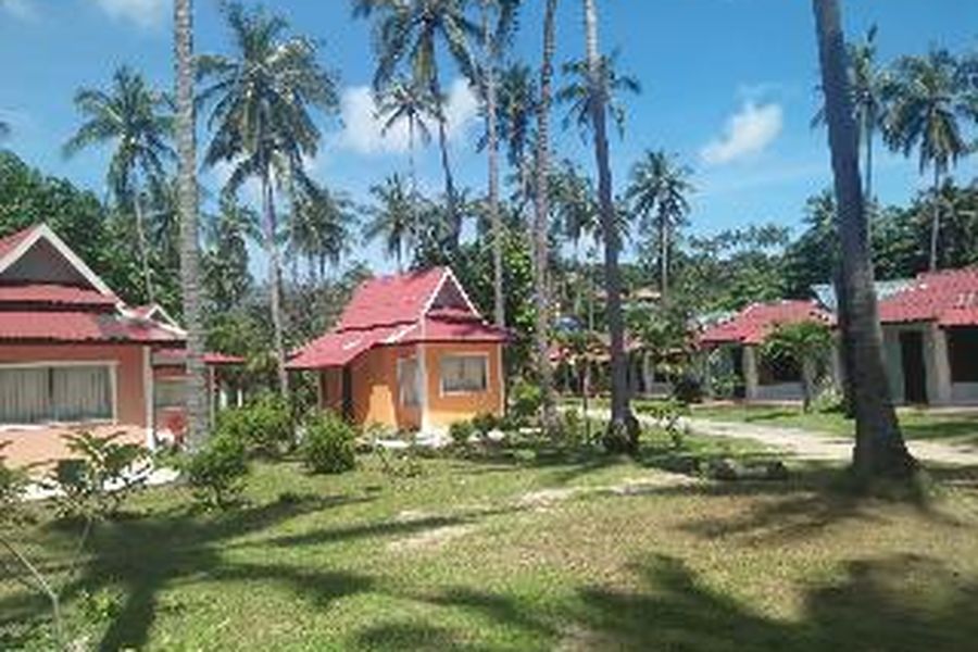 photo-3