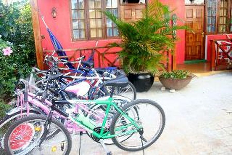 foto-2