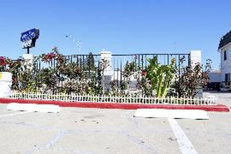 photo-3