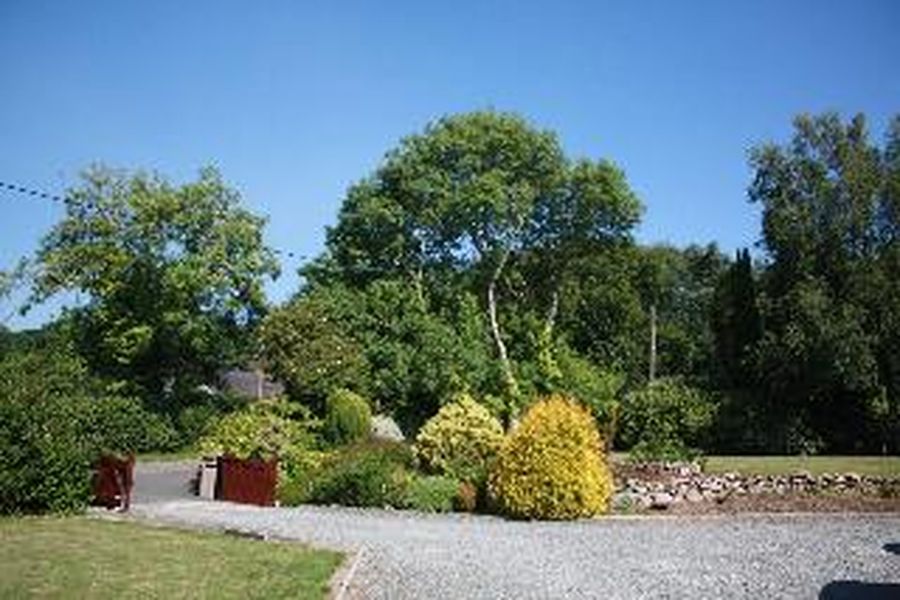 foto-1