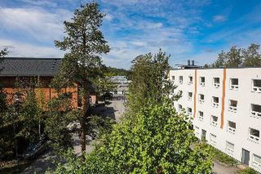 foto-2