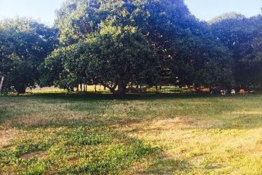 photo-3