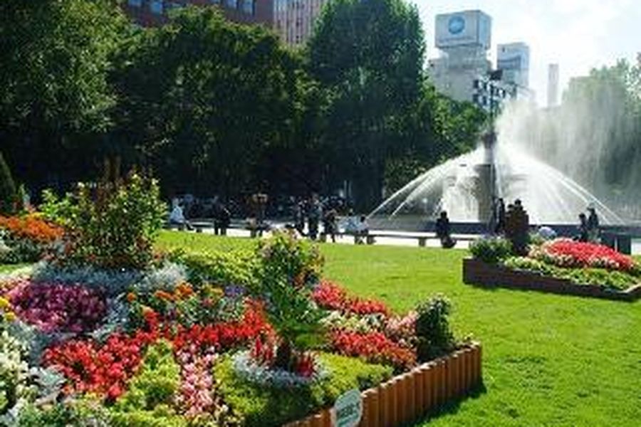 photo-3