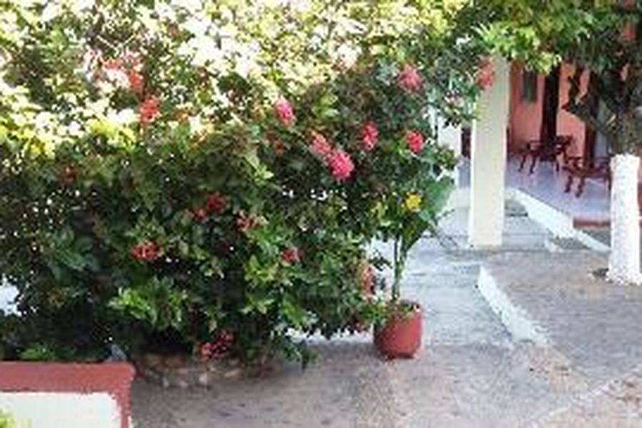 photo-3