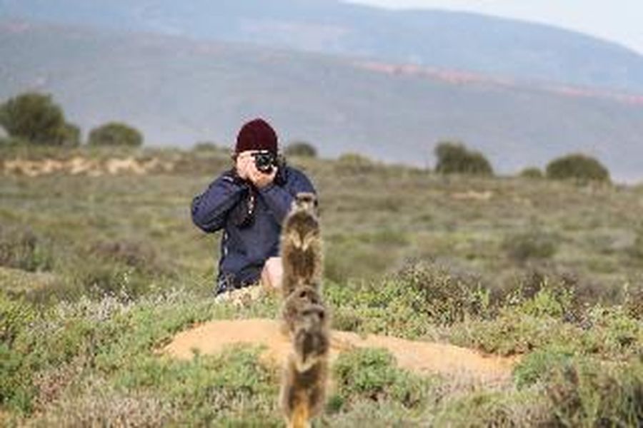 photo-1