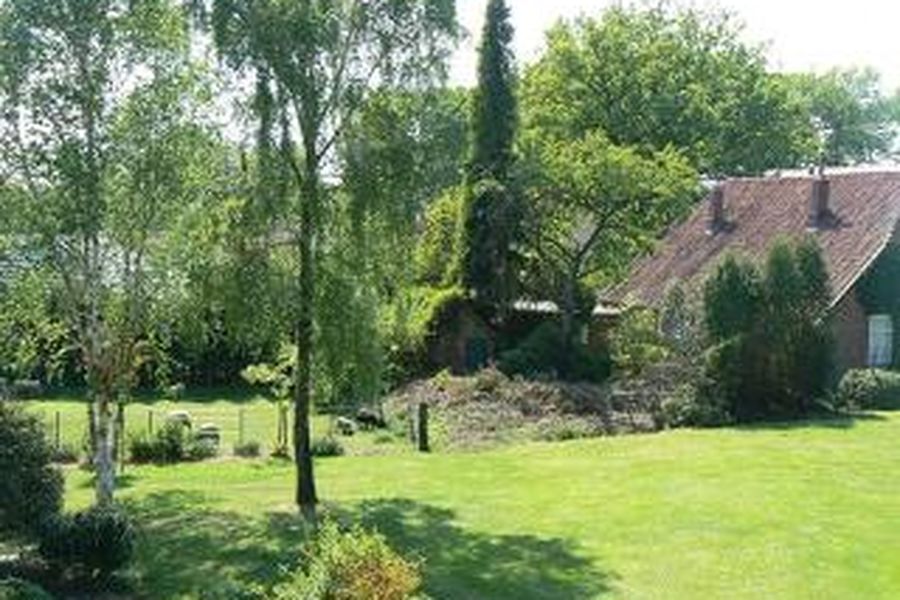 foto-2