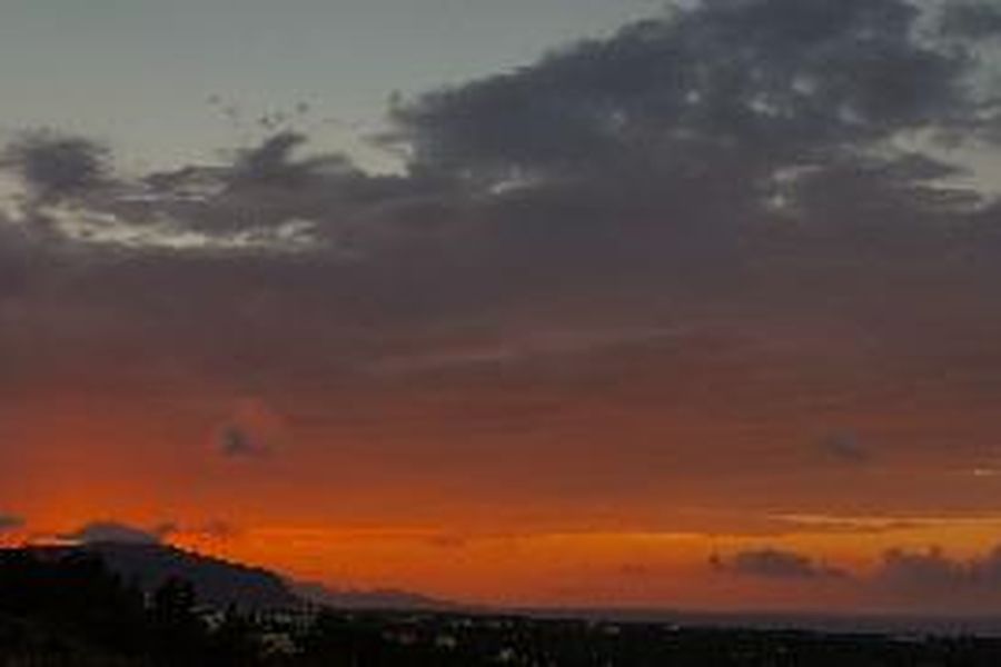 photo-1