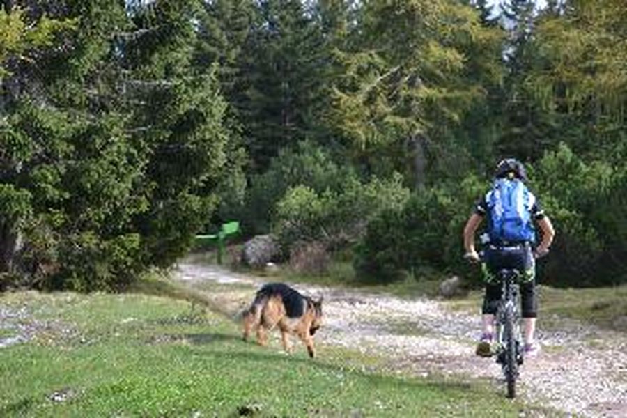 photo-3