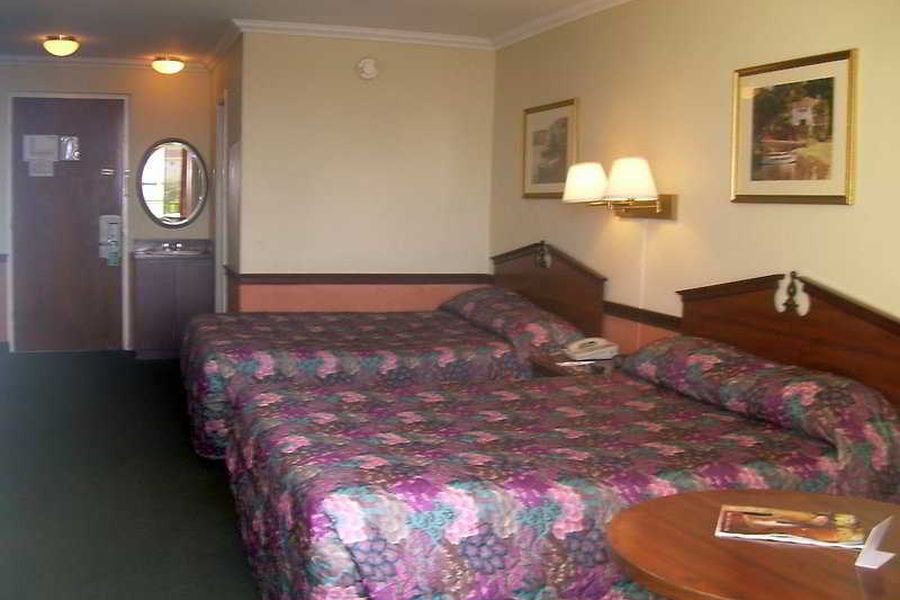 photo-1