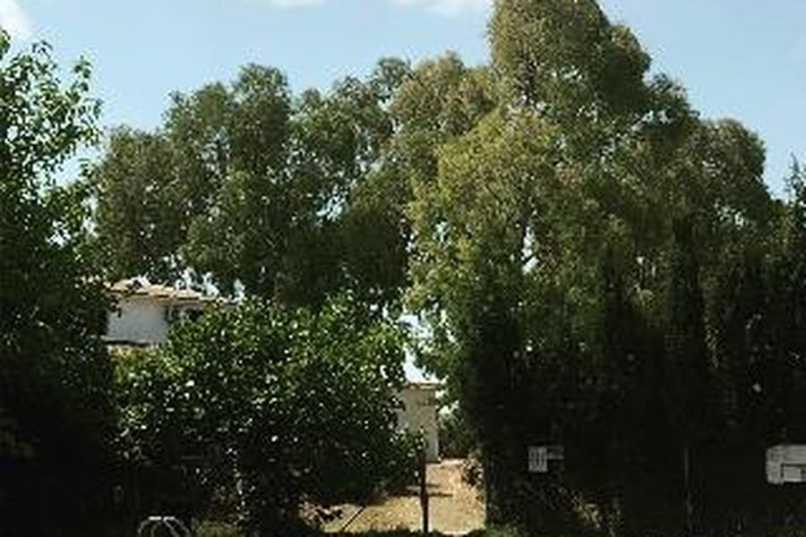 foto-1