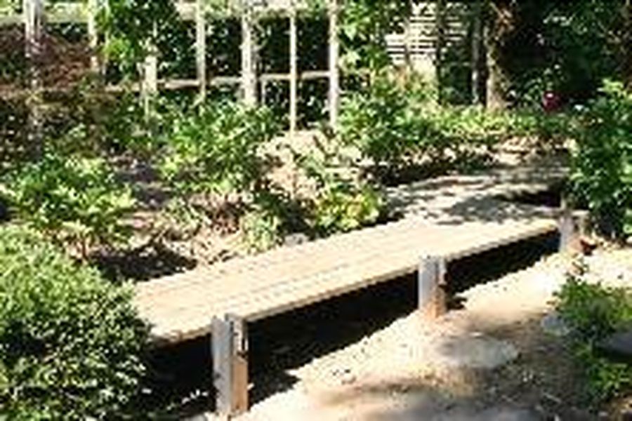 photo-3
