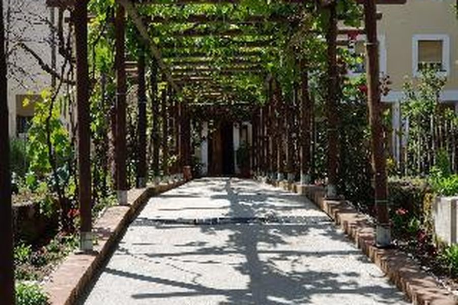 foto-2