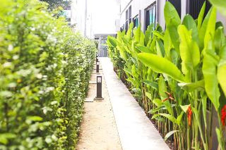 foto-1