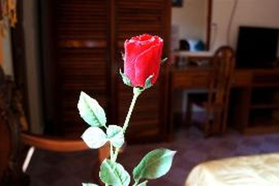 foto-1