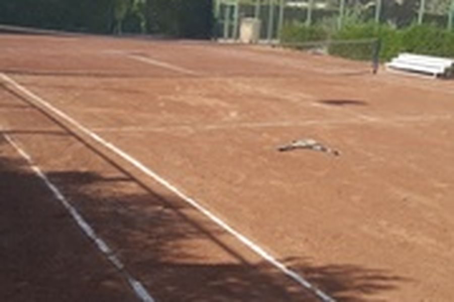 foto-1