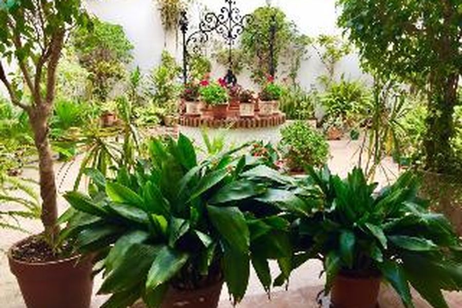 foto-2