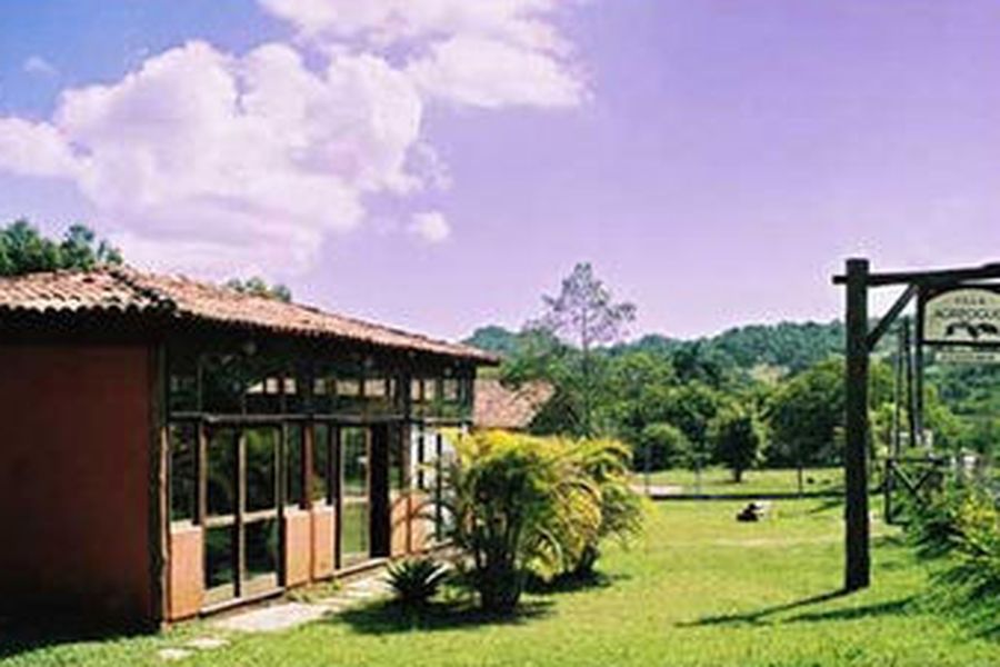 foto-1