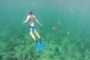 Homem em mergulho com snorkel na praia de Varadero - Cuba é conhecida por ter alguns dos melhores pontos de mergulho do mundo