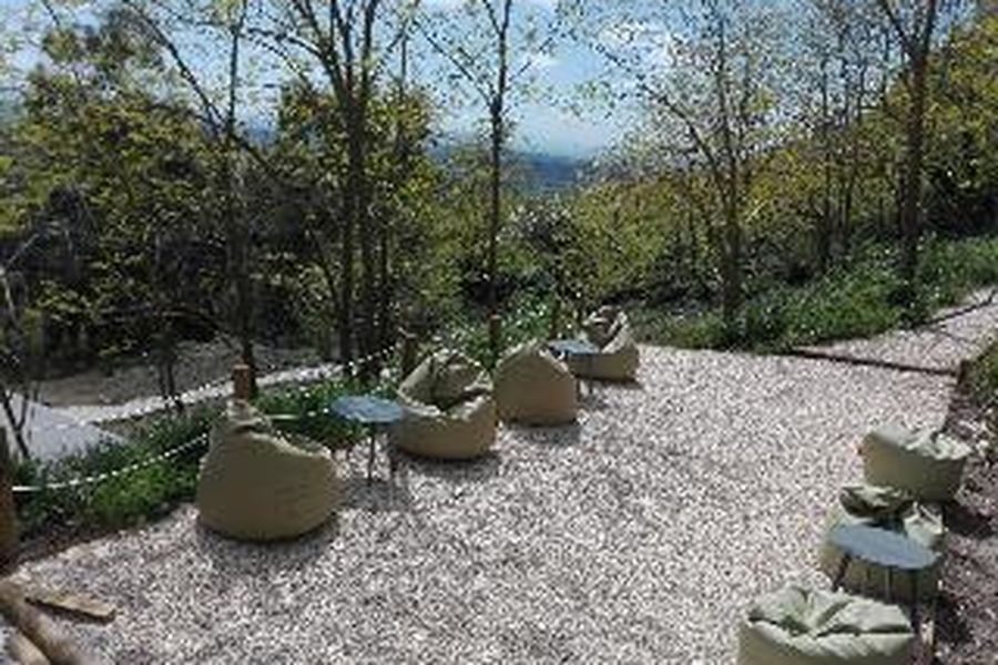 photo-3