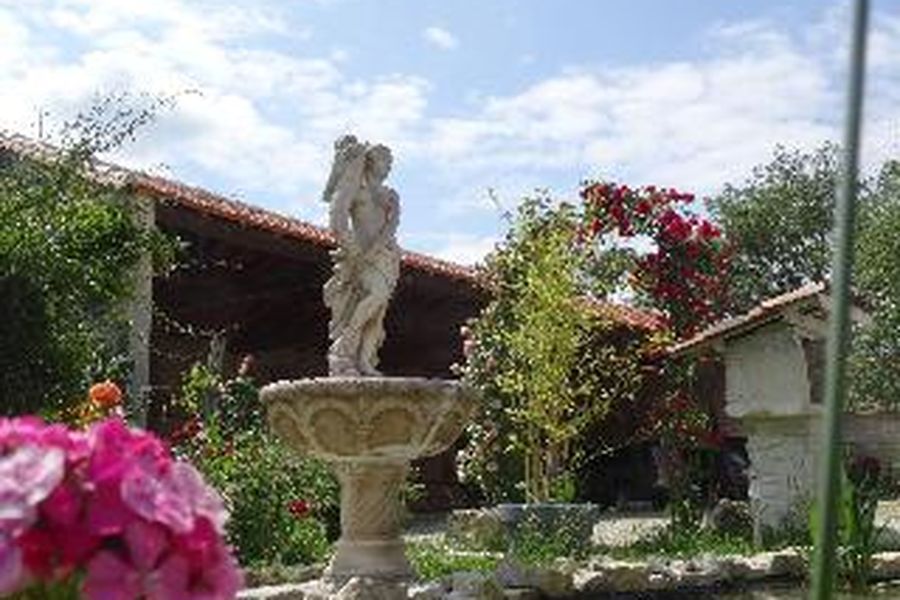 foto-3