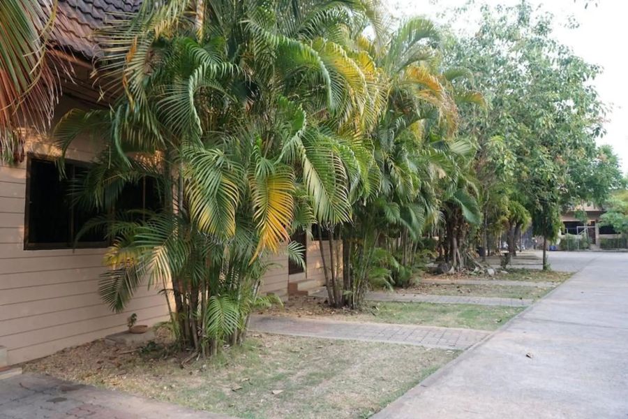 foto-0